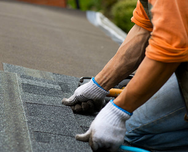 Best Roof Gutter Cleaning  in Woodburn, IN